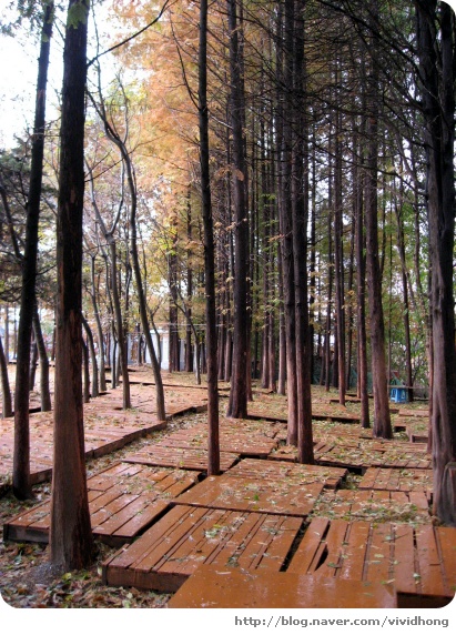 청계천연염색장 이미지