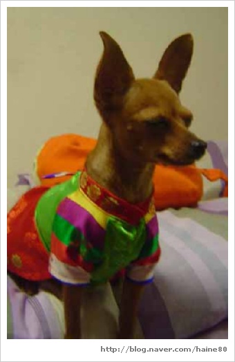 이쁜이한복 이미지