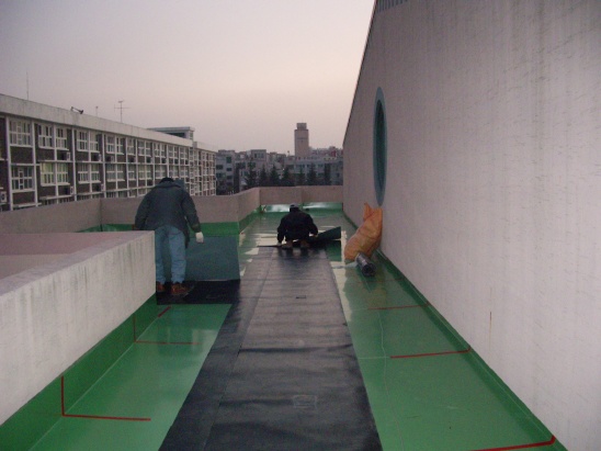 속초여자고등학교 이미지