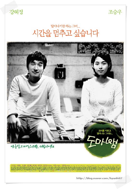 초록도마뱀 이미지