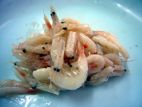 찌개지존 이미지