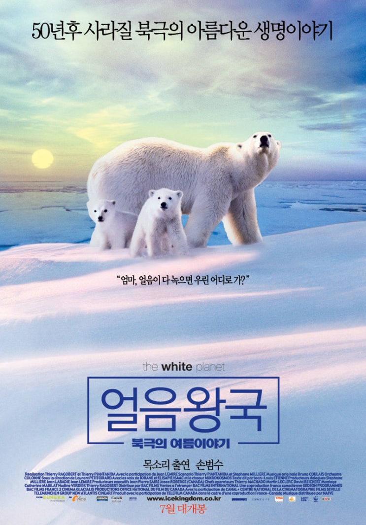 돈왕국 이미지