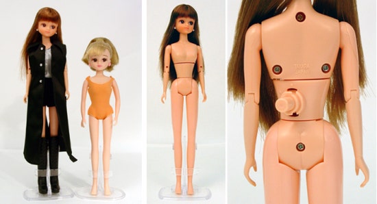 리카 이미지