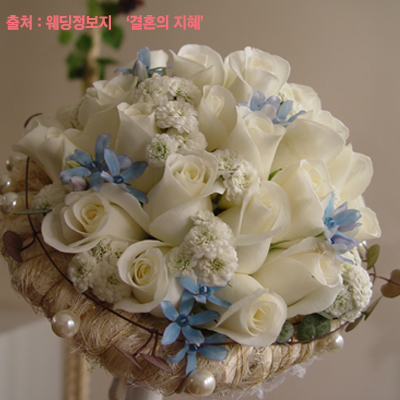 늘꽃사랑 이미지