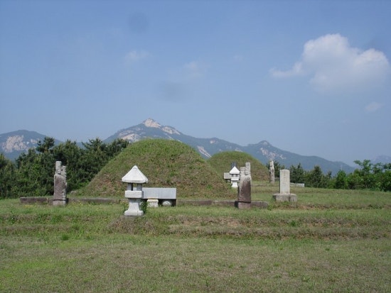 남재 이미지