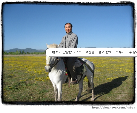한필마장 이미지