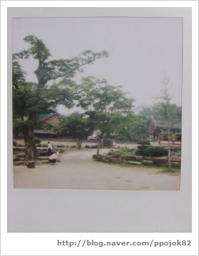 거목민박 이미지