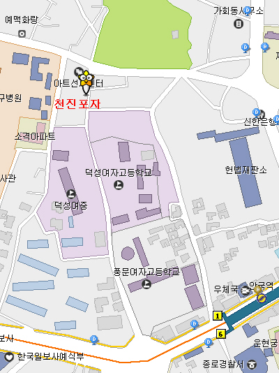 천진포자 이미지