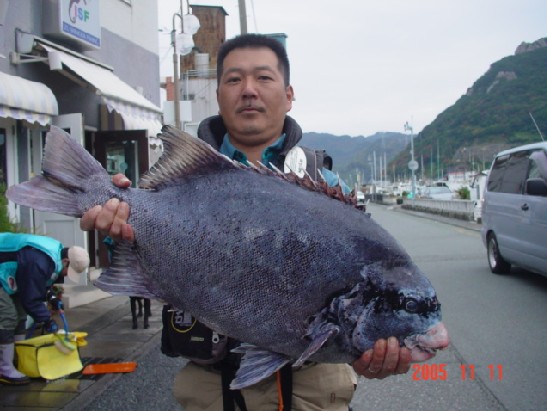 강담 이미지