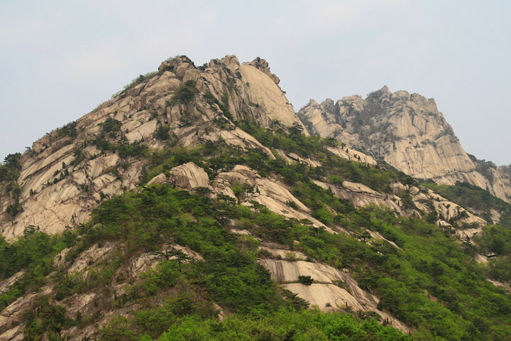 여우굴 이미지