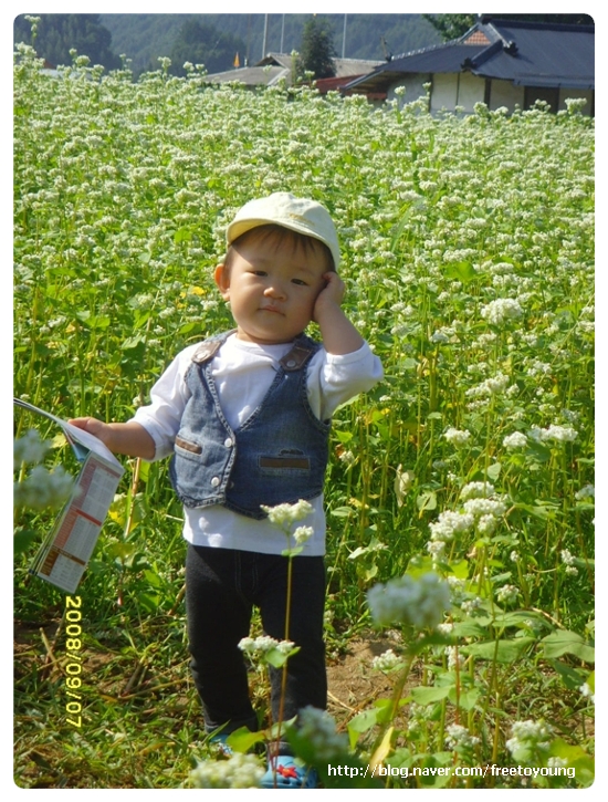 지유주유소 이미지