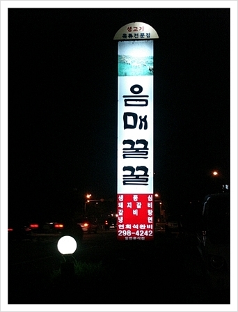 음매꿀꿀 이미지
