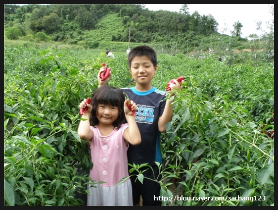 메아리농원 이미지