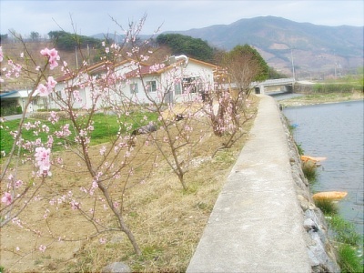 옴서감서 이미지