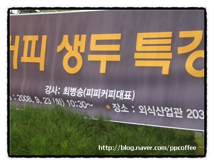 체리피피 이미지