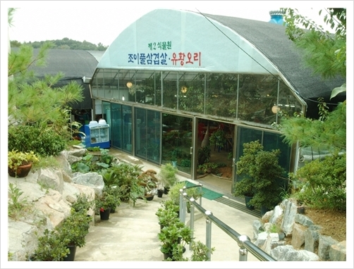 조이풀식물원 이미지
