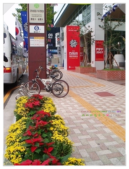 CGV대연 4관 이미지