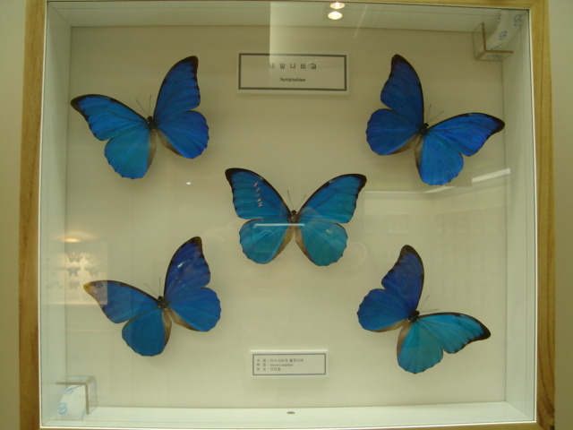 소슬바람 이미지