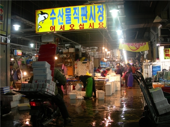 수협공판장앞 이미지
