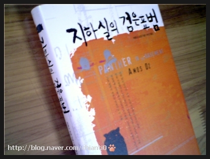 아모즈 이미지