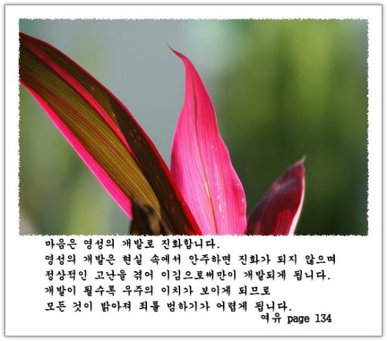 영성개발 이미지