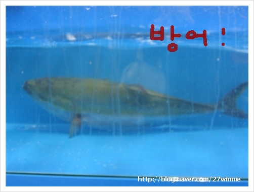 동우수산 이미지