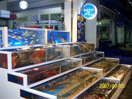 정남회식당 이미지