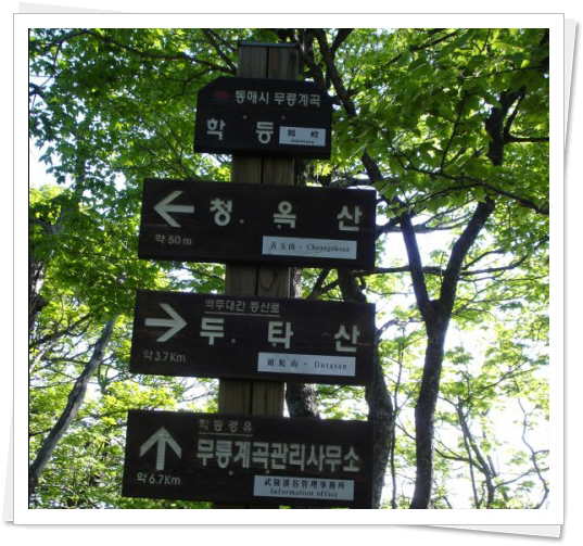 청옥주 이미지