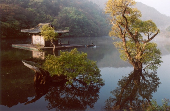 잘돼지 이미지