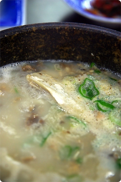 한참치 사진 6