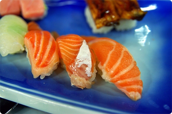 한참치 사진 3