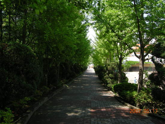 백암고등학교 이미지