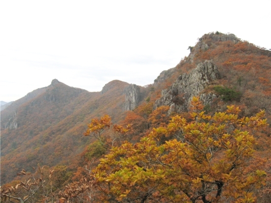 형형색(주) 이미지