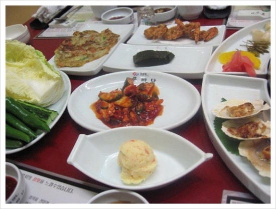 바다참치 이미지