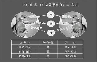 진맥 이미지