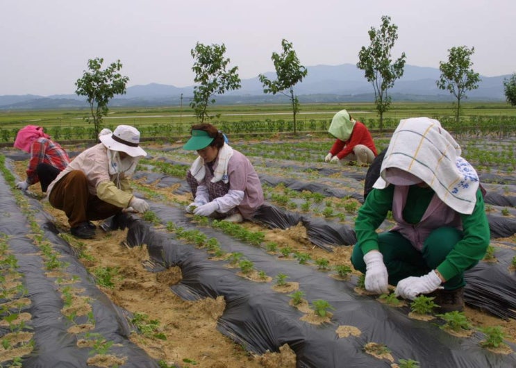 엄마런닝구 이미지