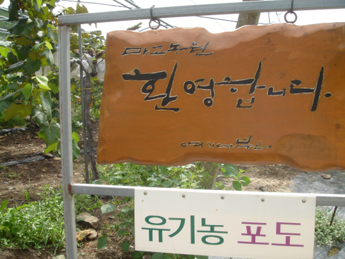 마고농원 이미지
