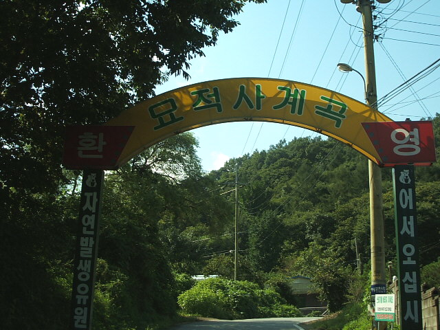 산천흑염소 이미지