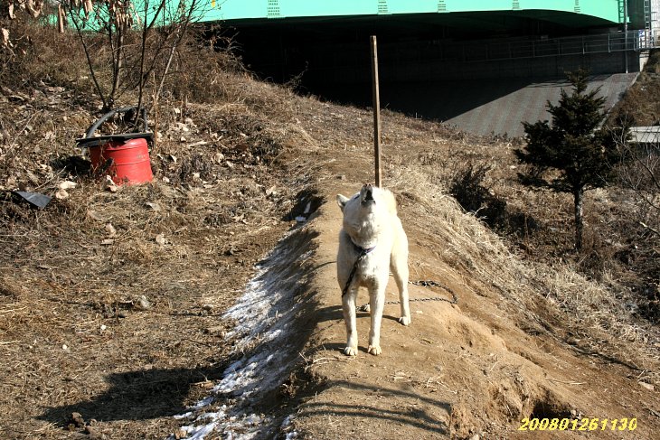 성산주유소 이미지