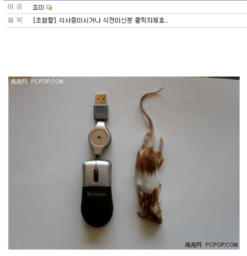 죠이컴퓨터 이미지