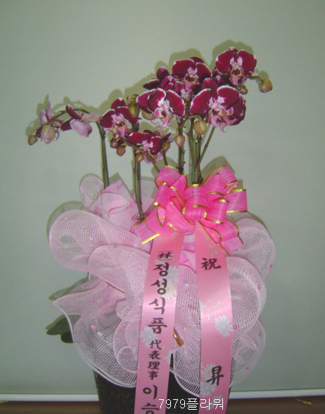 (주)정성식품 이미지