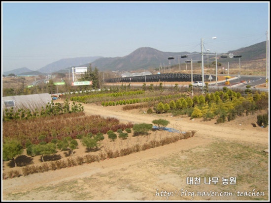 대천농원 이미지