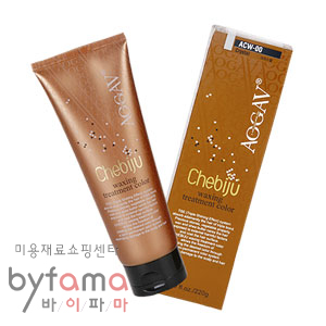 슈비즈 이미지
