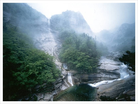 산천초목 이미지