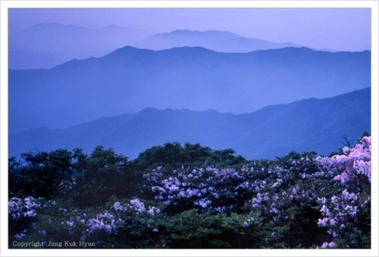 산천초목 이미지