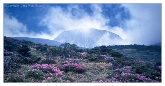 산천초목 이미지