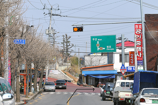 일로농협주유소 이미지