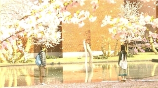 넌나의봄이다 이미지