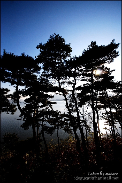 예당매운탕 이미지
