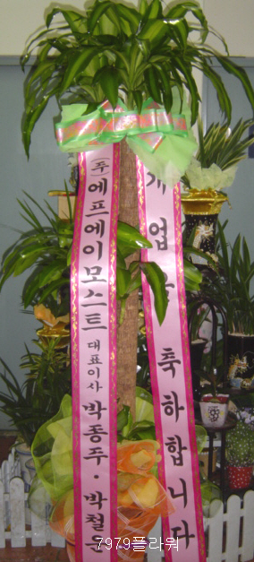 에프에이모스트주 이미지